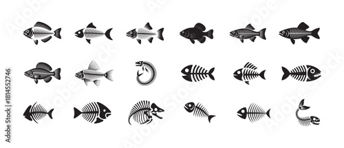 Large collection of various fish and fish skeleton illustrations isolated on white background