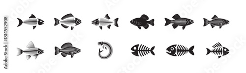Set of various fish skeletons and silhouettes, isolated on white background, black and white illustrations