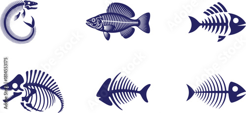 Set of various fish skeletons and fish bone designs in dark blue over a transparent background