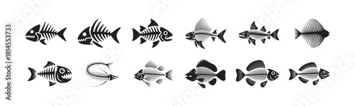 Collection of detailed fish skeletons and fish bone designs in black and white isolated