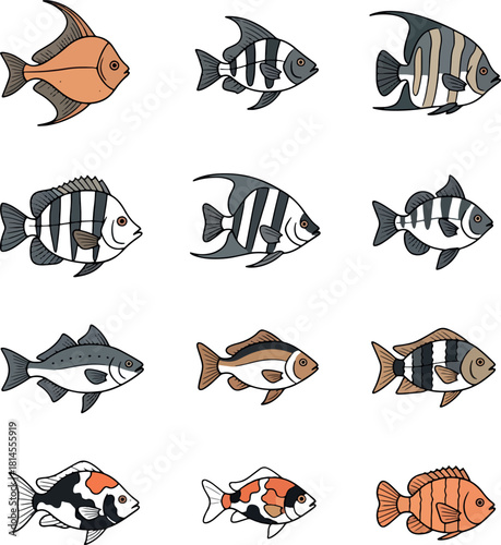 Aquarium Fish Vector Set