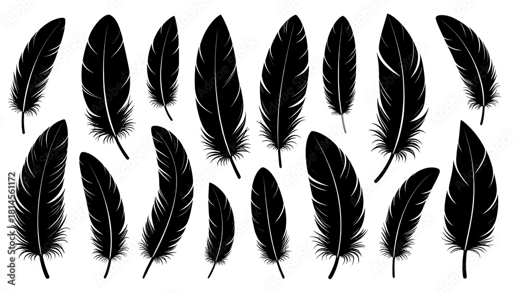 Obraz premium Black feather graphics. Array of plumes scattered across white background, creating a minimalistic, elegant design