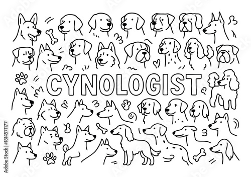 Dog Breeds Doodle