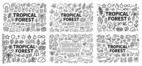 Tropical forest doodles with plants and animals