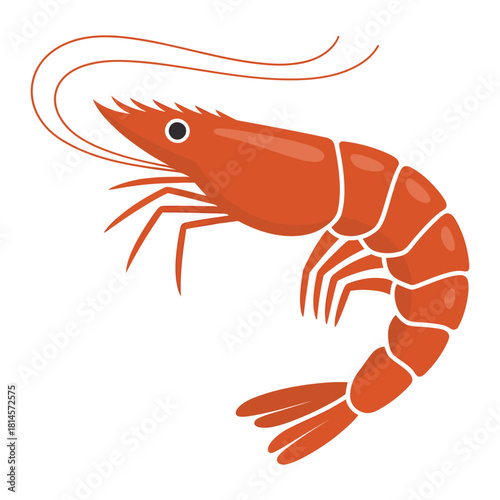 shrimp on white background