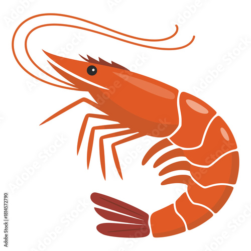 cooked shrimp on a white background