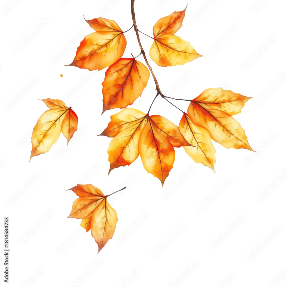 Fototapeta premium Watercolor style vibrant autumn leaves in various shades of orange and yellow on a branch and individual falling leaves