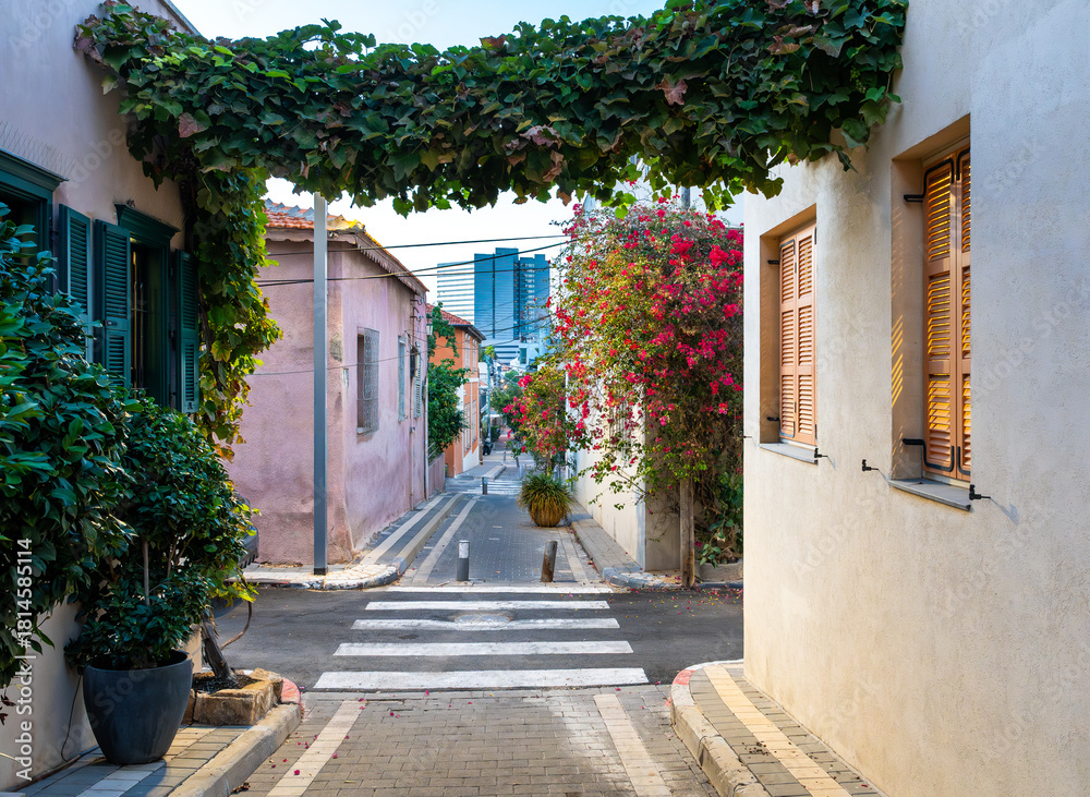 Naklejka premium Picturesque and colorful historic Neve Tzedek neighborhood in Tel Aviv illuminated by the rays of the setting sun.Israel.