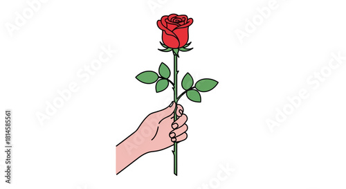 Hand Holding a Single Red Rose A Symbol of Love, Affection, and Beauty in Nature's Embrace