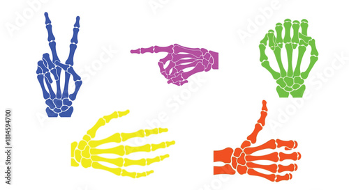 Colorful skeletal hands displaying various hand gestures on a white background