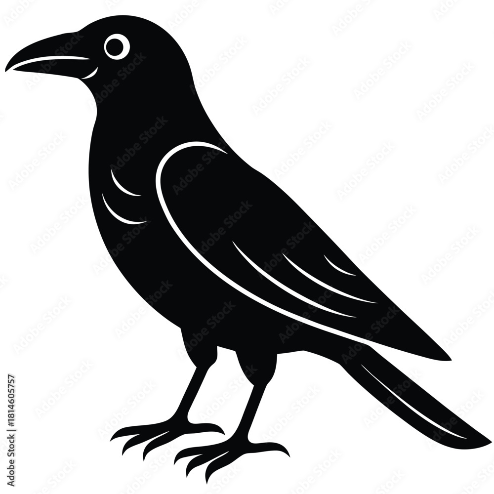Obraz premium crow vector icon