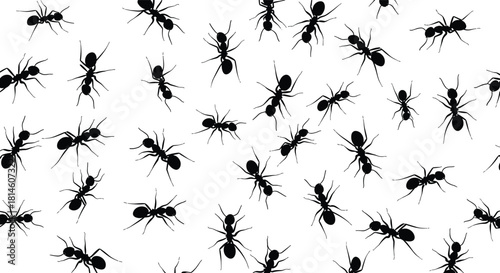 Ant silhouette pattern, insect swarm, black ants, white background, nature texture, biology concept, crawling insects, pest control, entomology study, seamless design