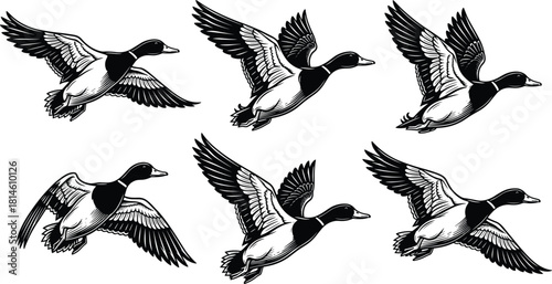 Flying duck icons, bird silhouette, black symbols, wing motion, wildlife illustration, nature flight, animal graphics, avian motion, outdoor design