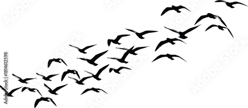 Migratory birds in flight, V formation, silhouette sky, nature motion, wildlife migration, peaceful travel, flock teamwork, minimalist background, avian energy, aerial harmony
