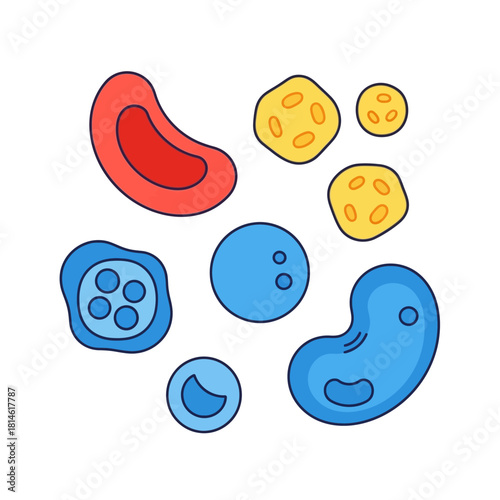 Colorful cartoon illustration set of various human blood cells, including red, blue, and yellow types.