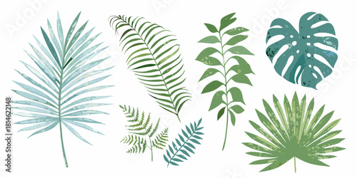 Watercolor tropical leaves set palm monstera fern and other foliage
