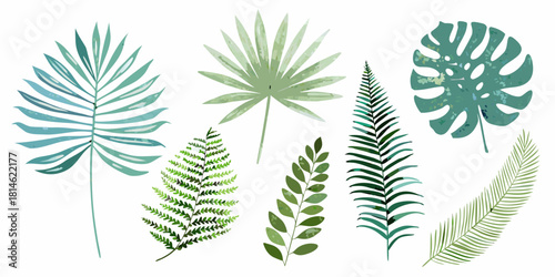 Watercolor tropical leaves illustration set on white background