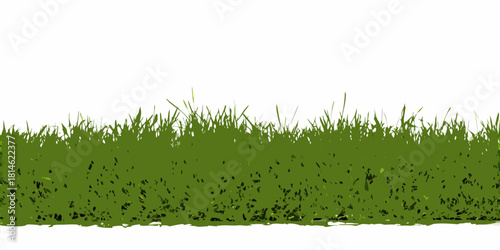 Green grass border illustration on a white background for design elements