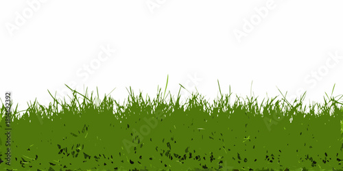 Green grass vector illustration on white background for spring or summer