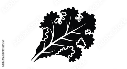 Black silhouette of a kale leaf isolated on white background silhouette