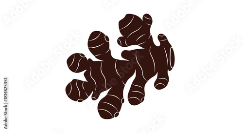 Brown ginger root silhouette isolated on white background