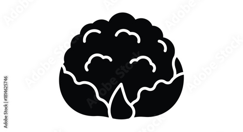 Cauliflower silhouette isolated on white background