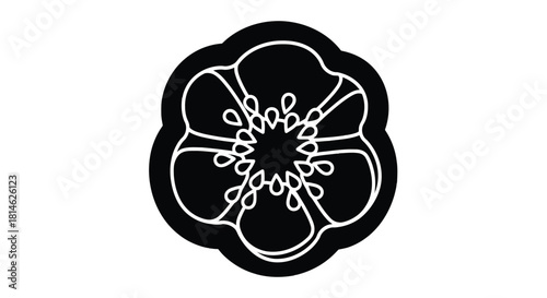 Cross section of bell pepper silhouette isolated on white background