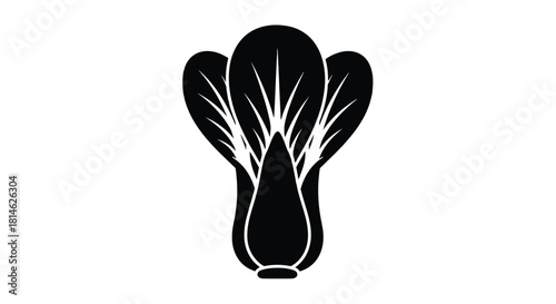 Bok choy silhouette isolated on white background