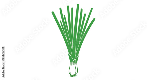 Green onion silhouette isolated on white background