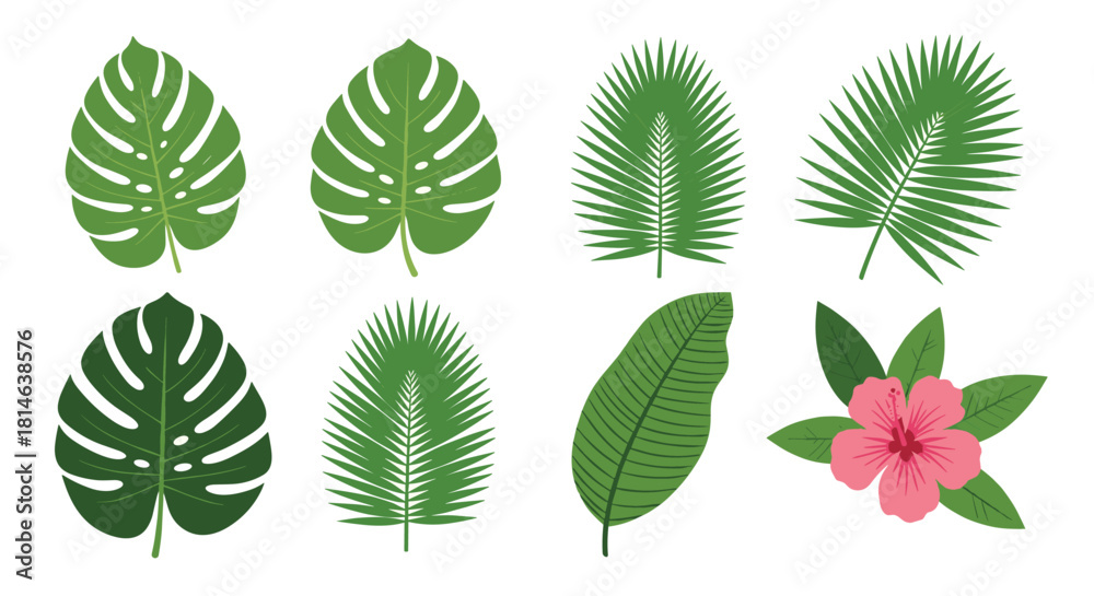 Fototapeta premium A beautiful set of green tropical leaves including monstera and palm with a pink hibiscus flower isolated on a white background.