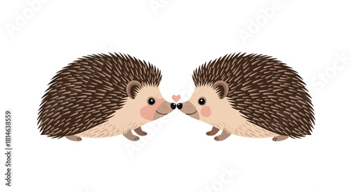 An adorable illustration of two cute hedgehogs in love touching noses with a small pink heart floating between them on white background.