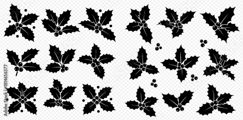 Silhouetted holly leaves and berries in a decorative arrangement on a transparent background.