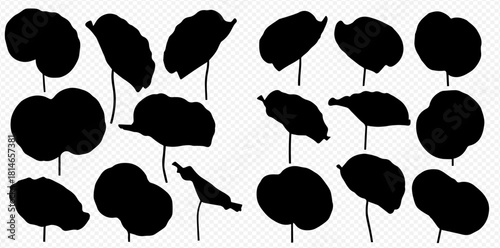 Silhouette of lotus leaves with stems on a white background.