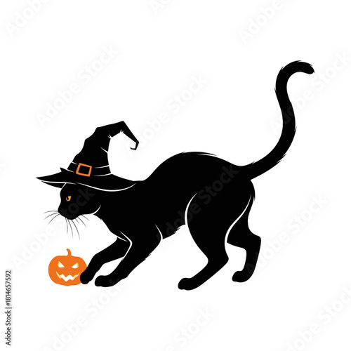 Black cat wearing a witch hat and tail with a jackolantern, halloweenthemed illustration