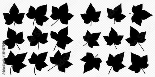 Silhouettes of ivy leaves arranged in a grid pattern on a transparent background.