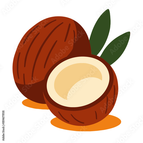 Whole and Cut Coconut Minimalist Vector Illustration