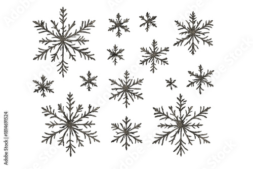 Ornate Snowflake Collection. Collection of ornate snowflakes of varying sizes, each uniquely detailed with delicate patterns and symmetrical shapes. The snowflakes. Vector illustration