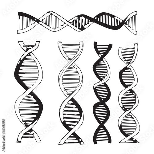 Collection of DNA Double Helix Structures in Various Stylized Forms.