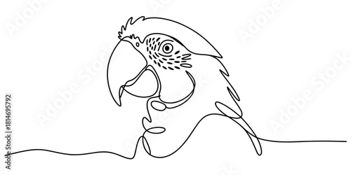 a parrot head featuring its beak and feather details, ideal for nature, wildlife, art, and design themes.