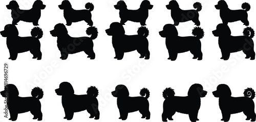 Cute fluffy dog silhouettes in various poses, adorable pet collection illustration, small breed canine icons for design, decoration and creative projects