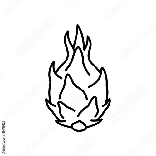Dragon fruit outline sketch in minimalist style with black lines  