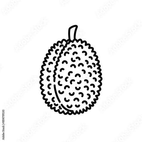 Lychee fruit illustration in black and white outline style  