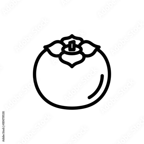 Persimmon fruit illustration in minimal line style on white background  