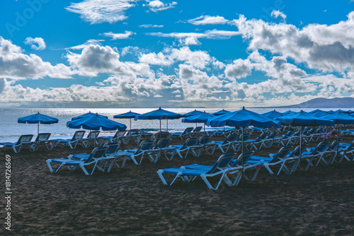 Photography Serene view of a beach in the Canary Islands with dark sand and blue ocean