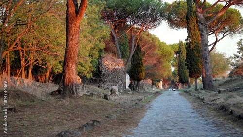 Photography Appian Way, a historic Rome road, winding through a serene landscape with ancien