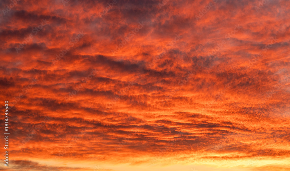 Fototapeta premium Fiery sunset sky over a dramatic orange horizon, perfect for nature and travel themes.