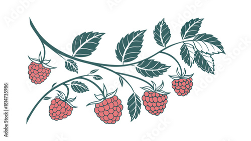 Stylized Raspberry Branch with Red Berries and Green Leaves on White Background fruit