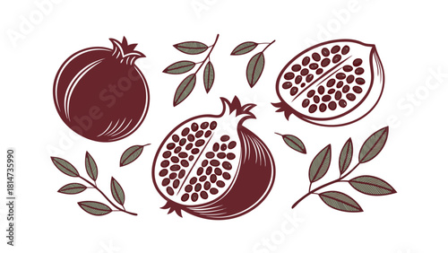 Stylized Pomegranates and Leaves Illustration on White Background fruit whole