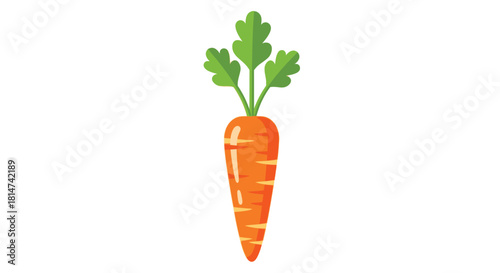 A vibrant illustration of a single fresh orange carrot with green leaves