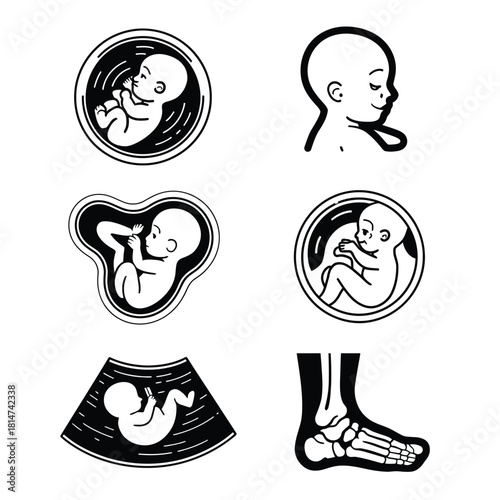 Human biology and development icon set: fetus in womb, baby profile, ultrasound, and skeletal foot.